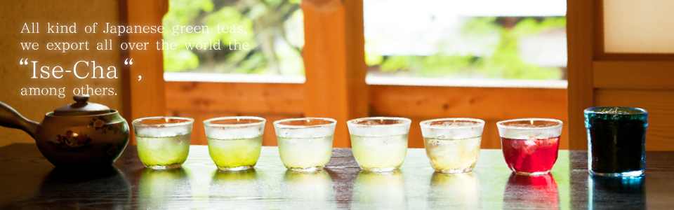 Ise tea of careful selection which the specialist accepted