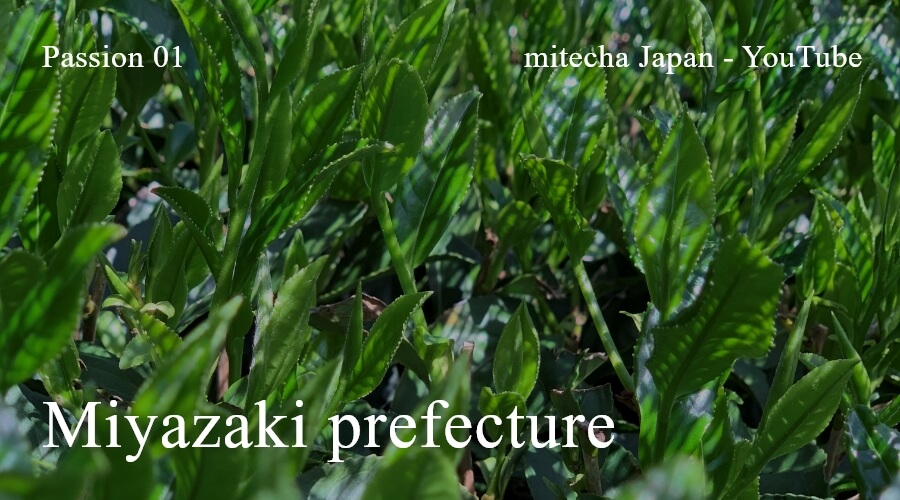 Miyazaki prefecture