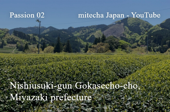 Nishiusuki-gun Gokasecho-cho,Miyazaki prefecture